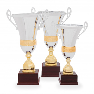 Pohár EXKLUZIV, výška 53 cm, stříbrný/zlatý